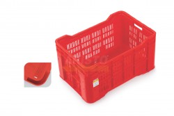 1976 TP (DOUBLE WALL)